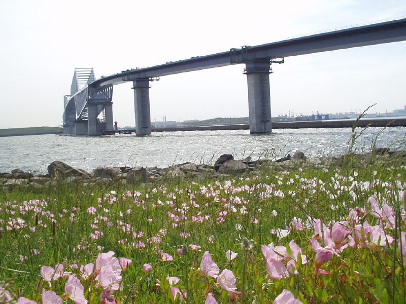 img0202.jpg
