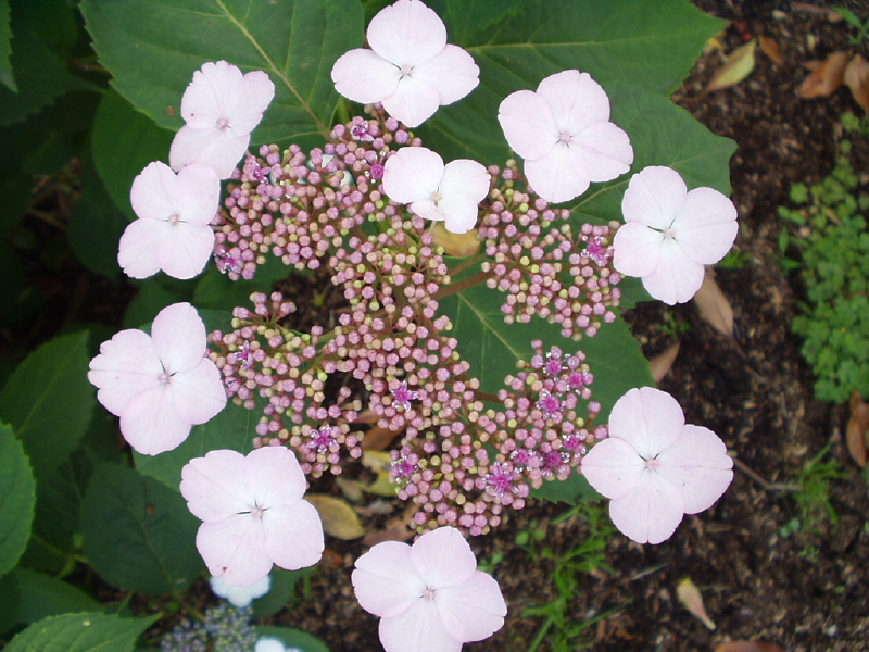 img0207.jpg