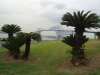 img0006.jpg