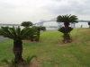 img0007.jpg