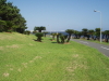 img0009.jpg