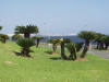 img0010.jpg