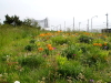 img0018.jpg