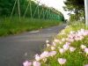 img0020.jpg