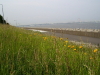 img0021.jpg