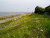 img0022.jpg