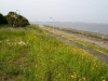 img0023.jpg