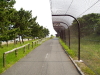 img0024.jpg