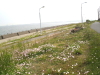 img0026.jpg