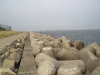img0028.jpg