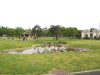 img0030.jpg