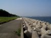 img0042.jpg