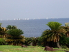 img0049.jpg