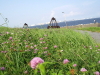 img0053.jpg