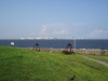 img0054.jpg