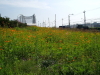img0057.jpg