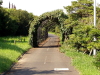 img0064.jpg