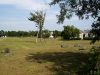 img0066.jpg
