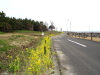 img0072.jpg