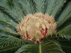 img0074.jpg