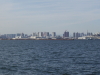 img0082.jpg