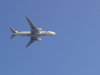 img0085.jpg