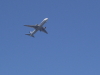 img0087.jpg