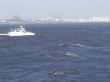 img0093.jpg