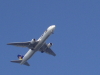 img0095.jpg