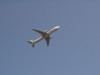 img0097.jpg