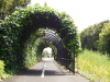 img0101.jpg