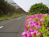 img0103.jpg