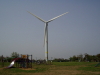 img0105.jpg