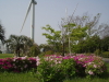 img0107.jpg