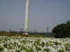 img0109.jpg