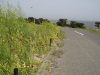 img0110.jpg