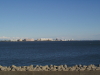 img0120.jpg