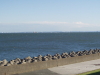 img0122.jpg