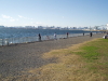img0123.jpg