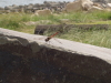 img0127.jpg