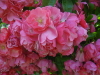 img0134.jpg