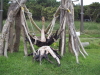 img0148.jpg