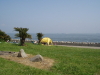 img0156.jpg