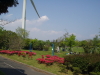 img0157.jpg