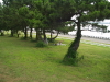img0160.jpg