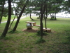 img0161.jpg