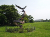 img0163.jpg