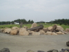 img0169.jpg