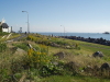 img0175.jpg