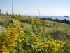 img0176.jpg